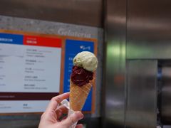 -Dip in Gelato(富民路店)