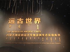 -呼和浩特博物馆