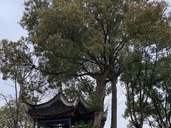 -韩湘水博园