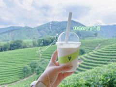 -白茶原·一片叶子
