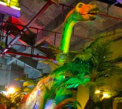 -恐龙探索乐园(磁器口店)