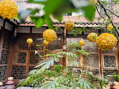 -南堂小馆·川菜馆(德商国际店)