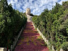 -蒙山大佛景区