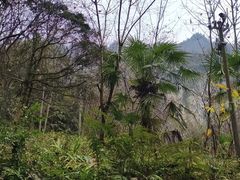 -清江方山景区