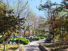 -大兴滨河森林公园