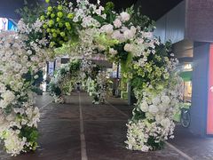 -青岛嘉年华主题乐园