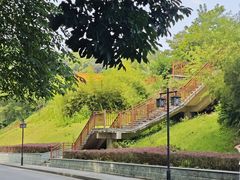 -南宁良凤江国家森林公园