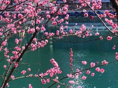 -望江楼公园