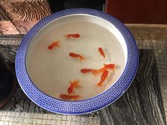 -写庭·鱼鲜川菜·宴请(铁像寺水街店)