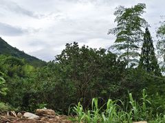 -天台山赤城山景区