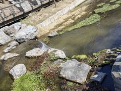 -白水寺森林公园