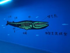 -沙沙哗啦海洋馆(华宇百花谷店)