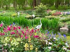 -上海共青森林公园