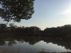 -鹅湖玫瑰文化园