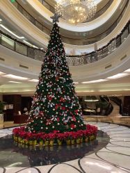 -上海瑞金洲际酒店·宴会厅