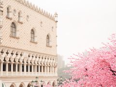 -澳门威尼斯人综合度假区