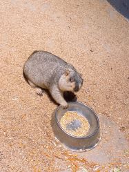 -酷嗒动物文化乐园(cutezoo西溪乐天城店)