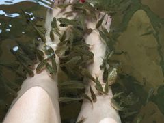 -天芳悦潭度假村温泉