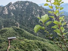 -大岭沟猕猴桃谷风景区