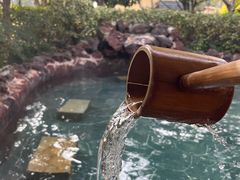 -苏州湾·王焰温泉