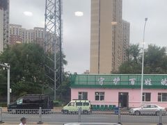 -老码头黑皮肘子锅包肉(文政街店)