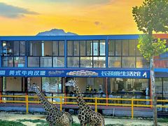 -西霞口神雕山野生动物世界