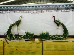 -龙大花卉苗木市场