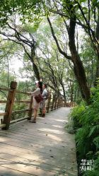 -皇家施华洛新派婚纱摄影(大正街店)