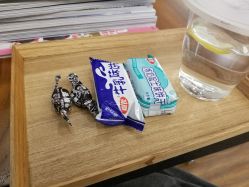 -THE LOG SALON 记录