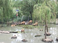 -溱湖国家湿地公园