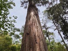 -东天目山风景区