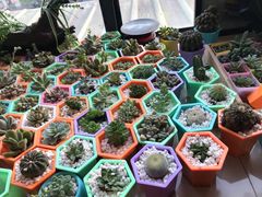 -王红军龙虾(新民路店)