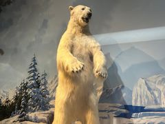 -陕西自然博物馆