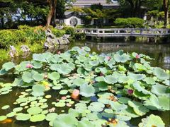 -杭州西湖柳莺里酒店