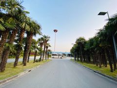 -太阳岛度假酒店