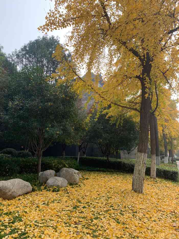 环城西苑公园-"西南城角一隅.护城河水悠然流淌环绕城墙.