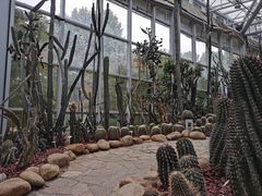 -郑州植物园