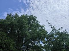 -金华体育中心游泳馆