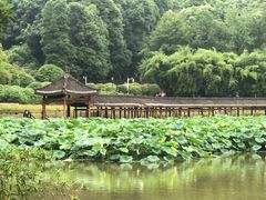 -龙头寺公园