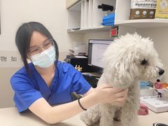 -全心全意动物诊疗中心医院(北苑店)