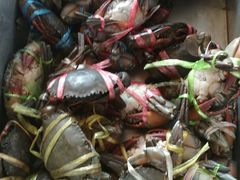-芭提雅Amporn Seafood自助餐厅