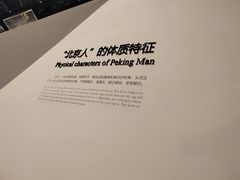 -北京周口店北京人遗址博物馆