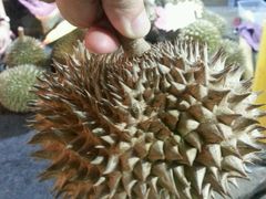 -阿龙榴莲摊