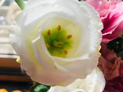 -VESH COFFEE(定西路店)