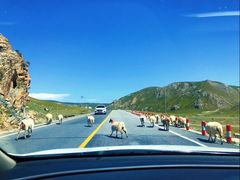 -青海湖国家重点风景名胜区