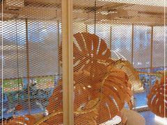 -生如夏花泰式火锅(西村黑金店)