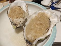 -天鹰观渔(梦园店)