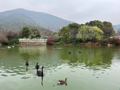 -无锡动物园·太湖欢乐园