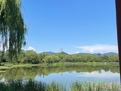 -北坞公园