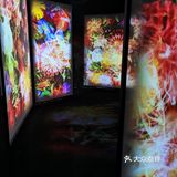 魔都展览｜B.A绽放生命之美沉浸式艺术展